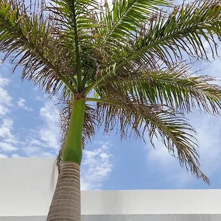 Lust4life Mirage - Luxury With Pool Πλάγια Μπλάνκα